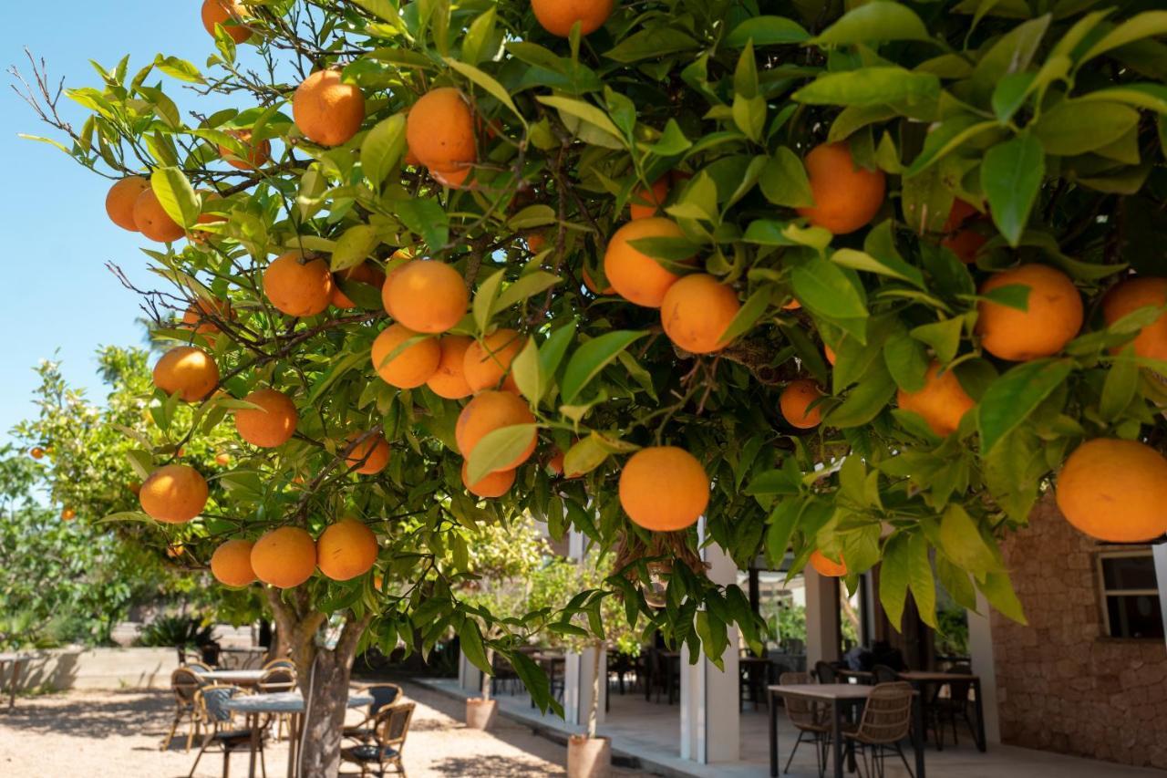 Can Arabi - Adults Only Puig D'en Valls Εξωτερικό φωτογραφία